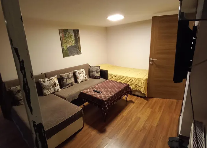 Coskun Apartment
